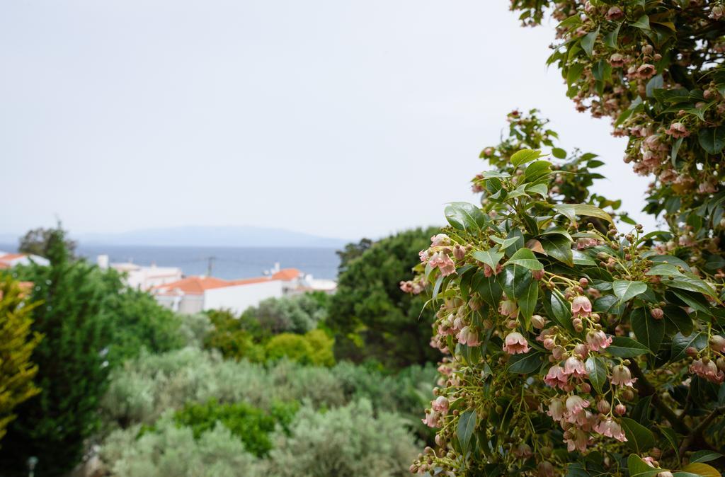 Kyveli Hotel Apartments Vrontádos Екстериор снимка