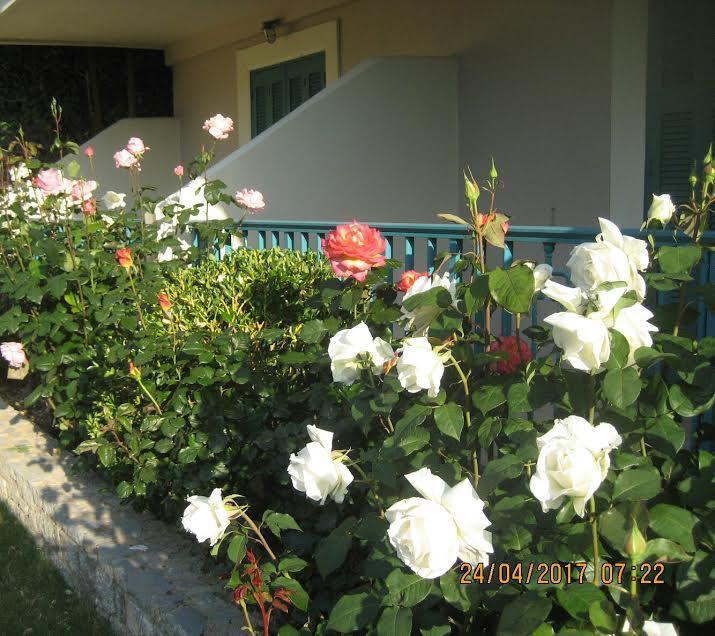 Kyveli Hotel Apartments Vrontádos Екстериор снимка