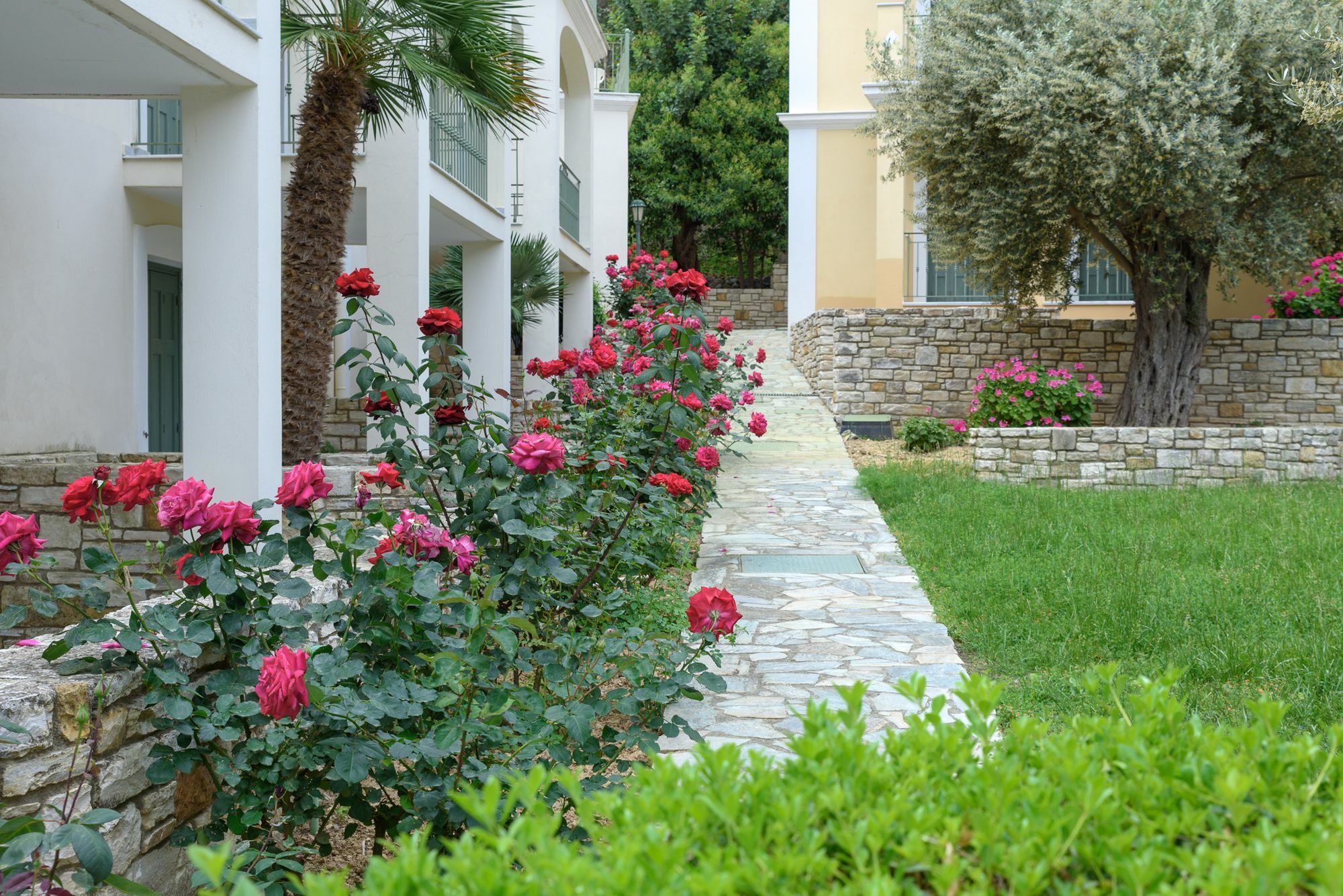 Kyveli Hotel Apartments Vrontádos Екстериор снимка